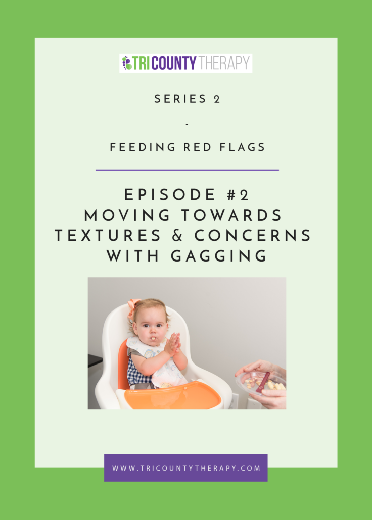 Feeding Red Flags: Moving Towards Textures & Concerns With Gagging