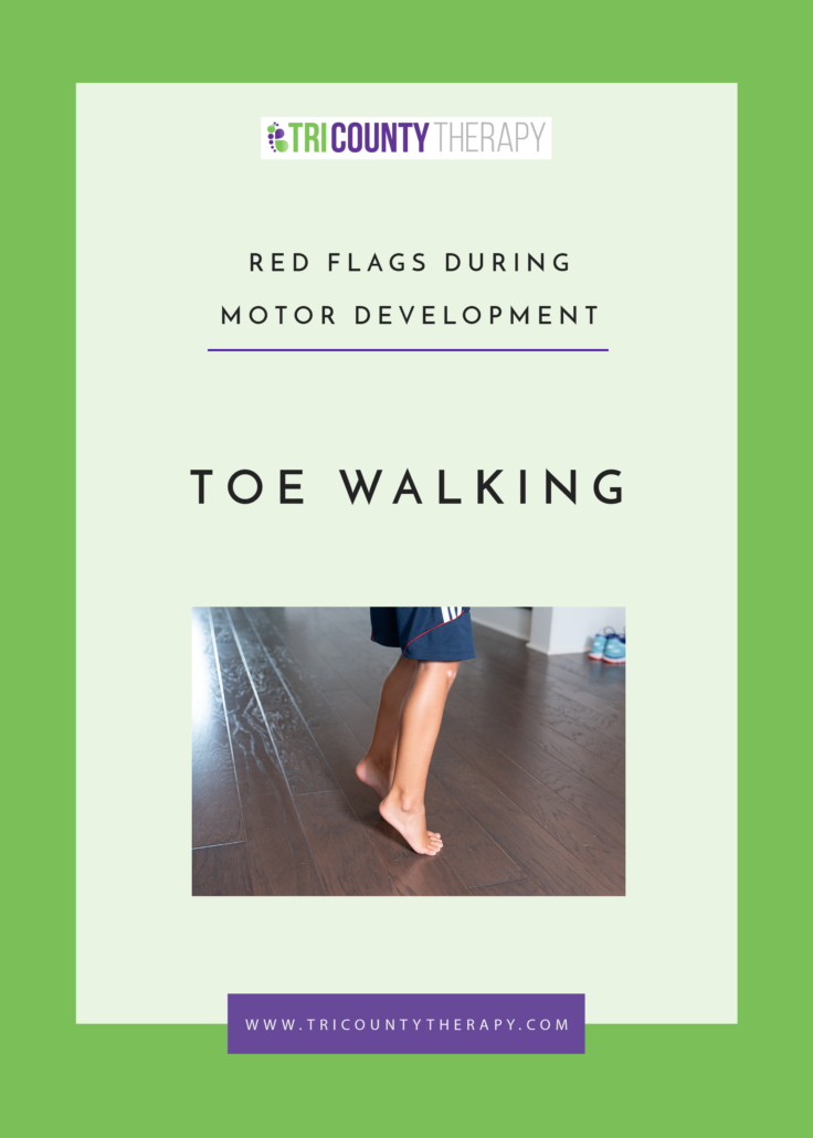 Red Flags During Motor Development: Toe Walking