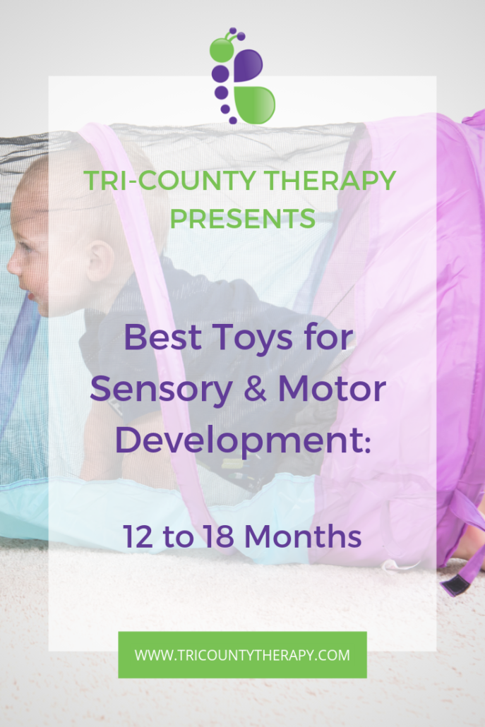Sensory and Motor Toys: 12 to 18 months