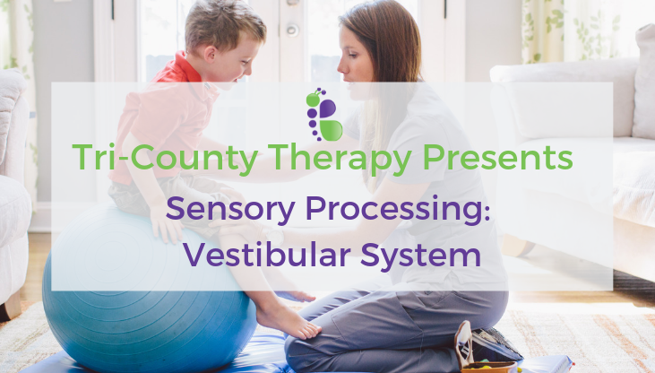 Sensory Processing: Vestibular