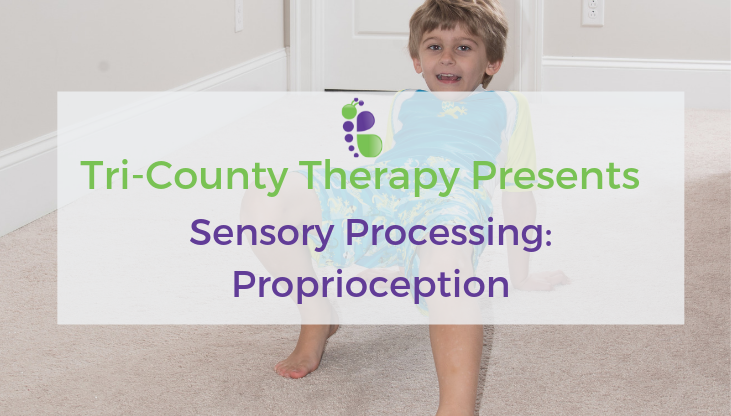 Tri County Therapy, Pediatric Therapy, Speech Therapy Charleston, Speech Therapy Greenville